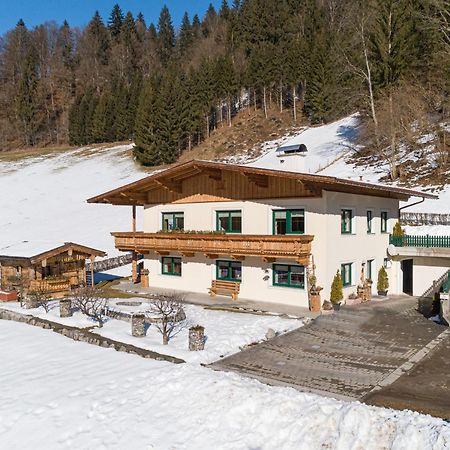 Haus Am Waldrand Apartman Hopfgarten im Brixental Kültér fotó
